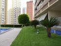 9 | Alquiler de Apartamentos/pisos en Benidorm