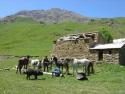 6 | Alquiler de Casas rurales en Boi