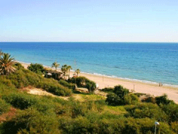 Playa de Marbella